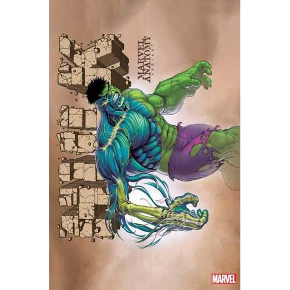 HULK (2022) # 11 LOBE MARVEL ANATOMY VARIANT