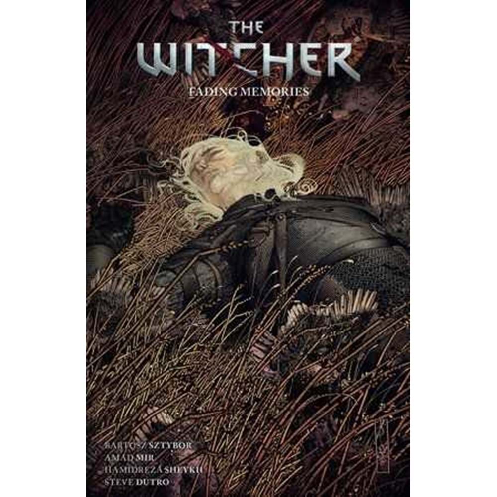 WITCHER VOL 5 FADING MEMORIES TPB