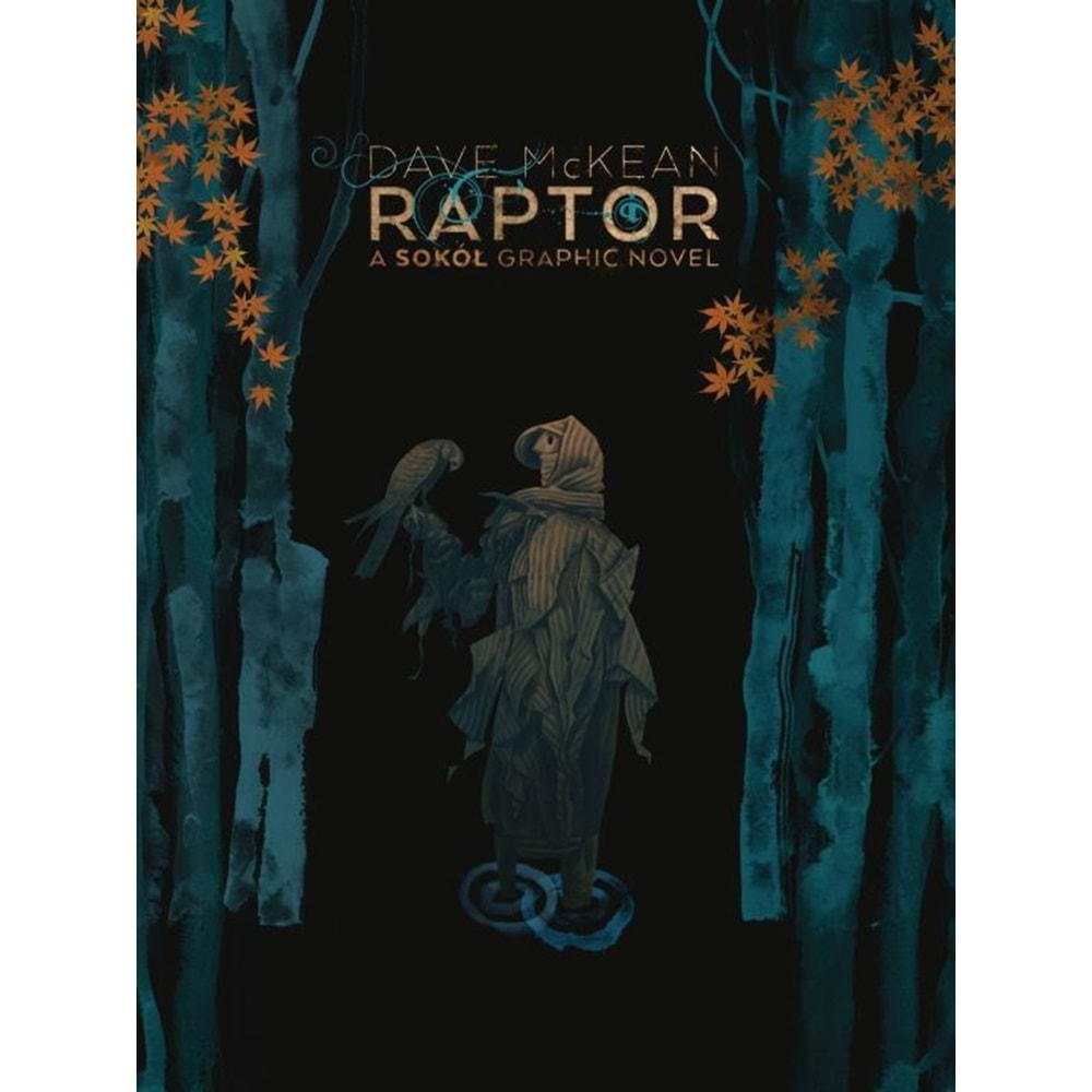 DAVE MCKEAN RAPTOR A SOKOL GRAPHIC NOVEL TPB