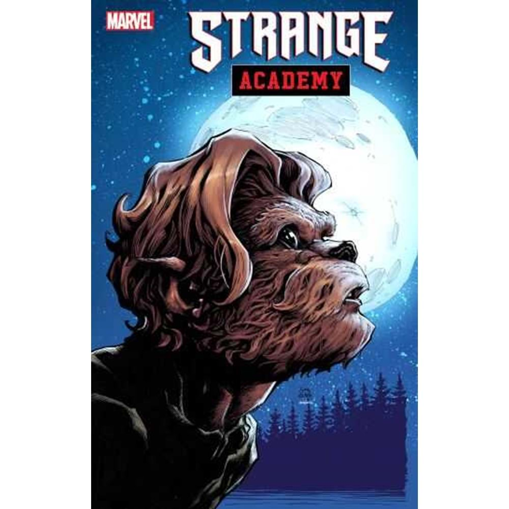 STRANGE ACADEMY # 18 STEGMAN CHARACTER SPOTLIGHT VARIANT