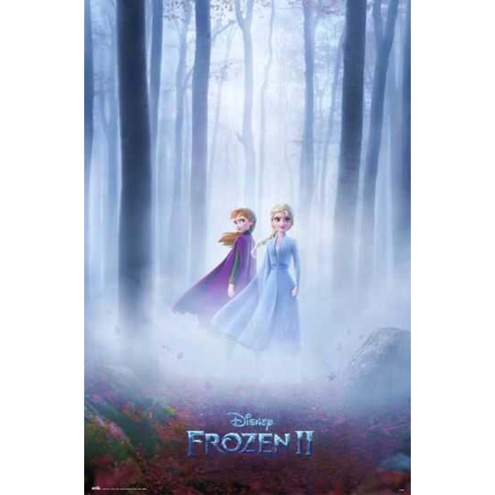 FROZEN ANNA ELSA POSTER