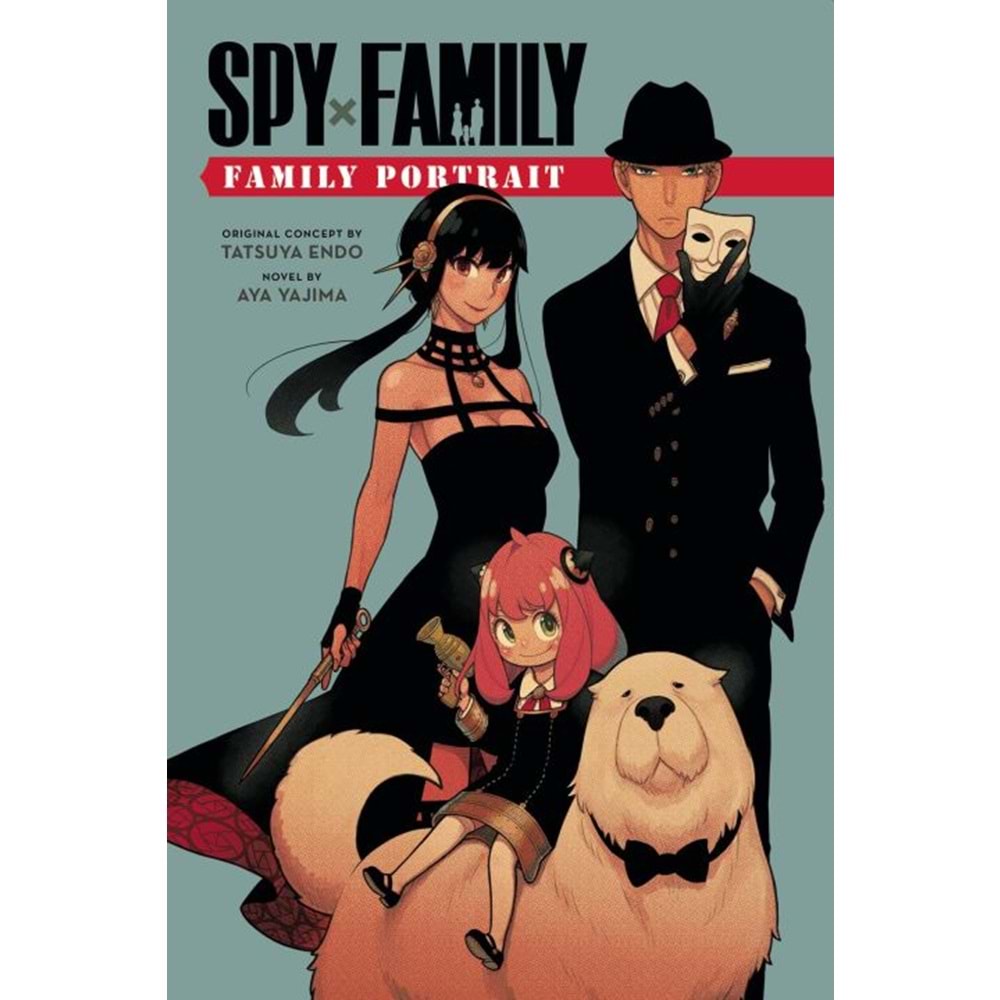 SPY X FAMILY FAMILY PORTRAIT NOVEL TPB