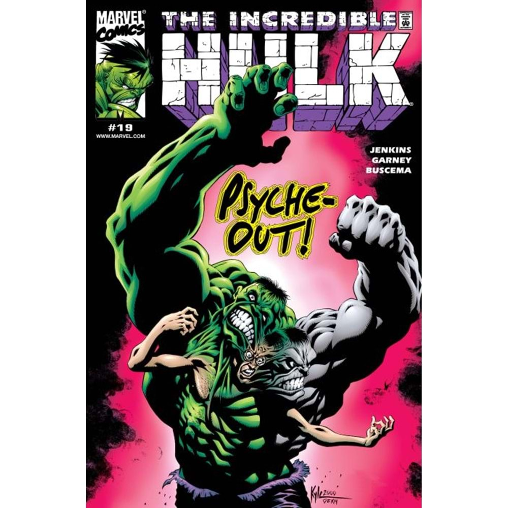 INCREDIBLE HULK (1999) # 19