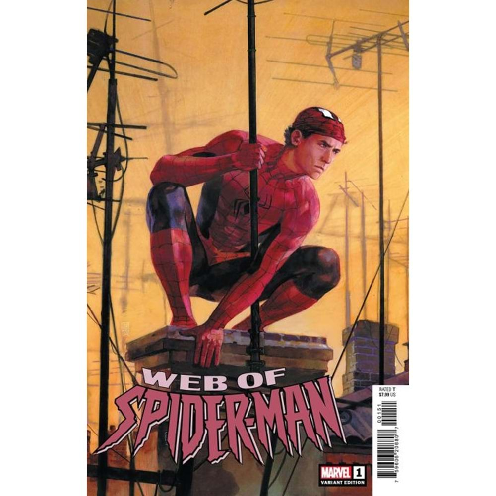 WEB OF SPIDER-MAN (2024) # 1 ALEX MALEEV VARIANT