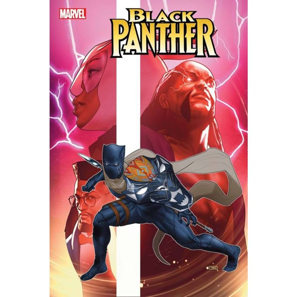 BLACK PANTHER (2023) # 10