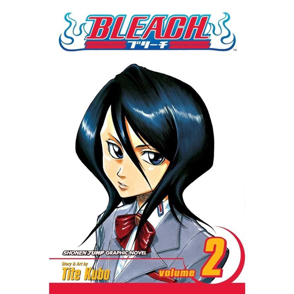 BLEACH VOL 2 TPB