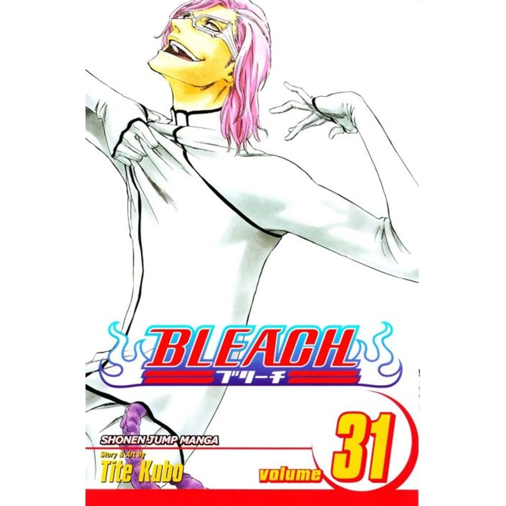 BLEACH VOL 31 TPB