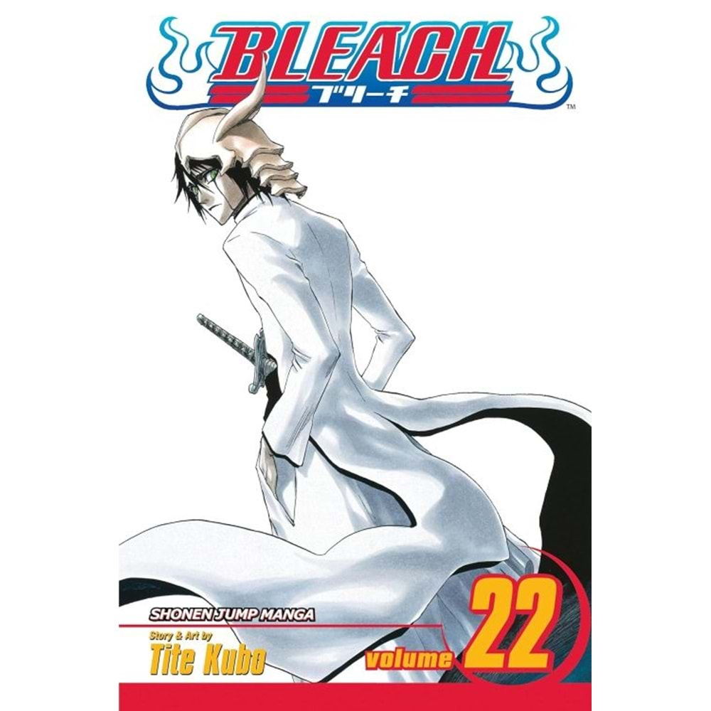 BLEACH VOL 22 TPB