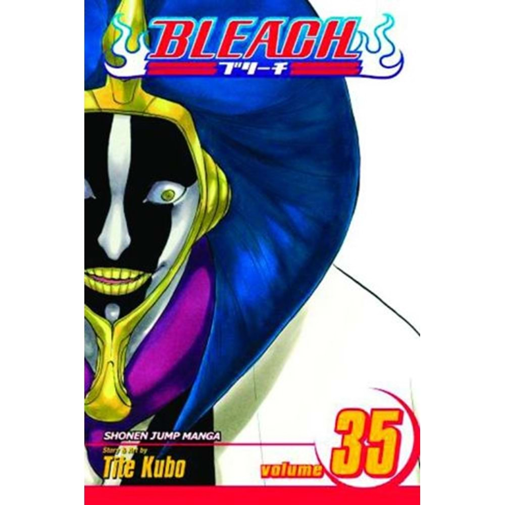 BLEACH VOL 35 TPB