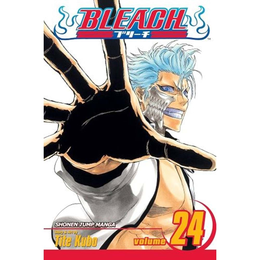 BLEACH VOL 24 TPB