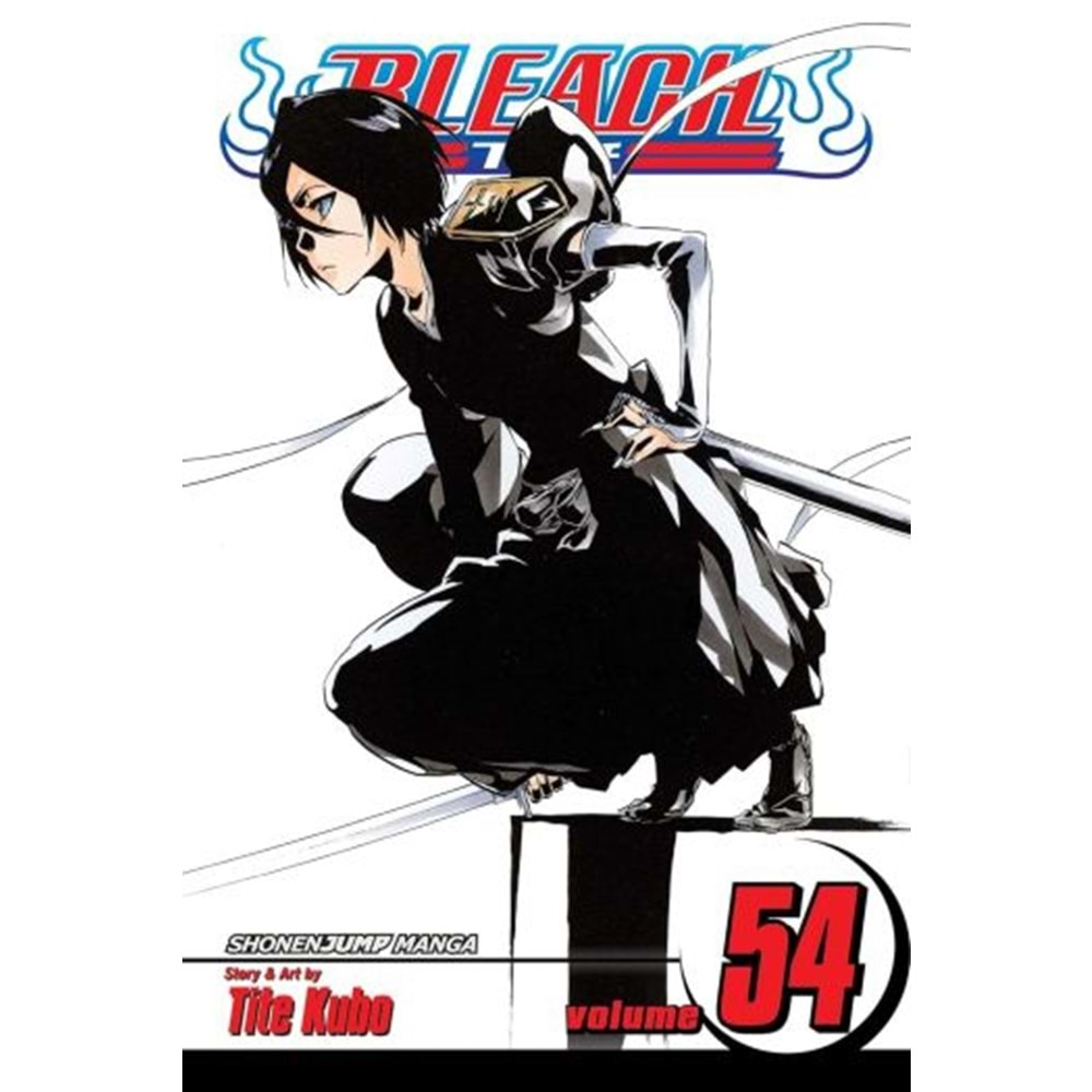 BLEACH VOL 54 TPB