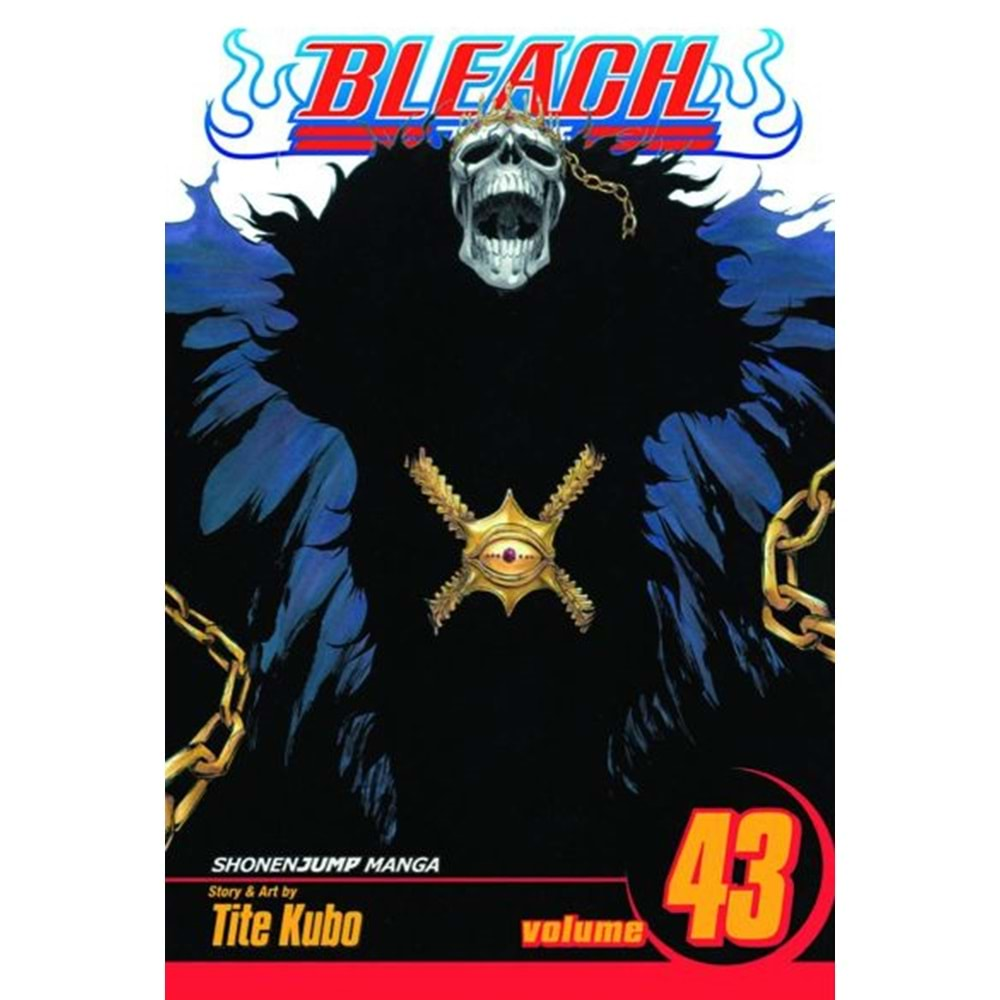 BLEACH VOL 43 TPB