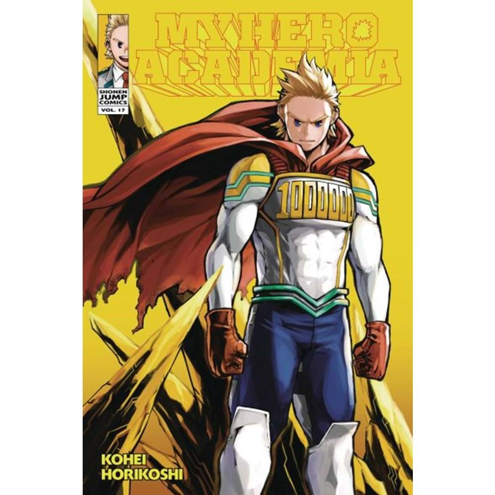 MY HERO ACADEMIA VOL 17 TPB