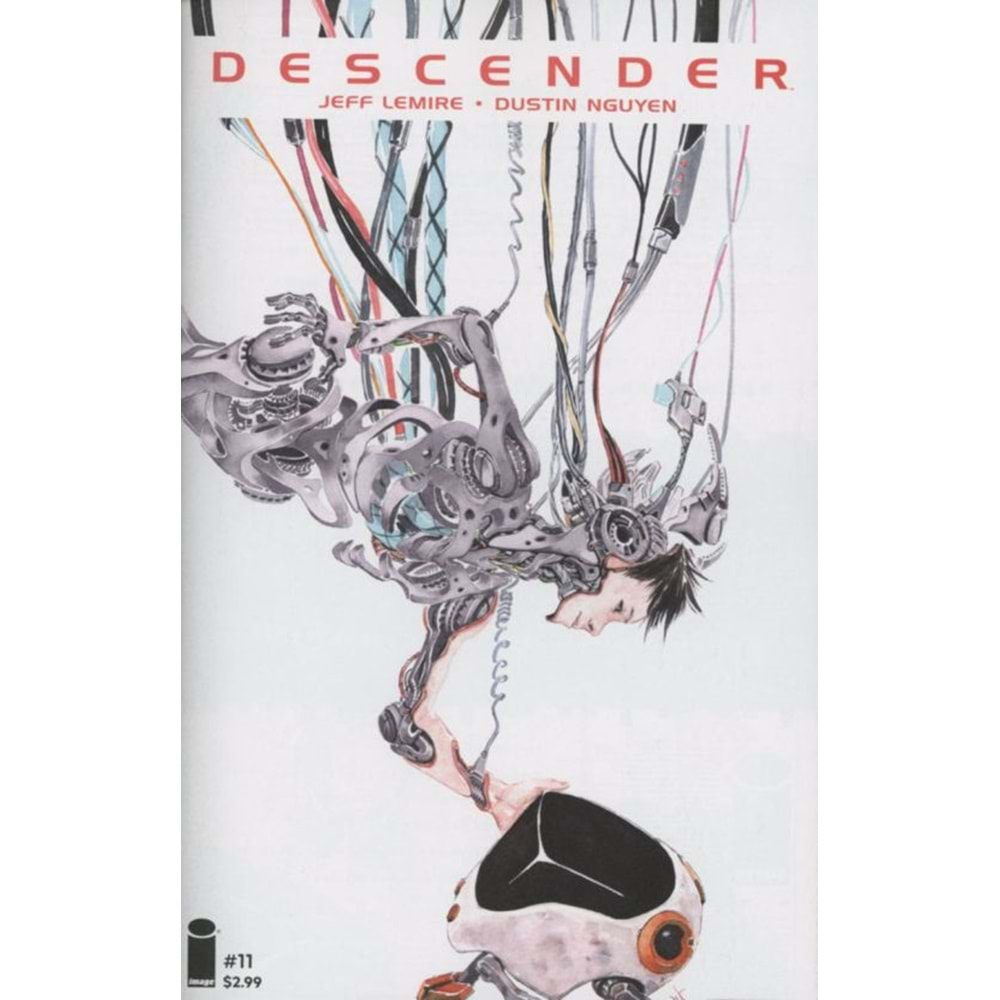 DESCENDER # 11