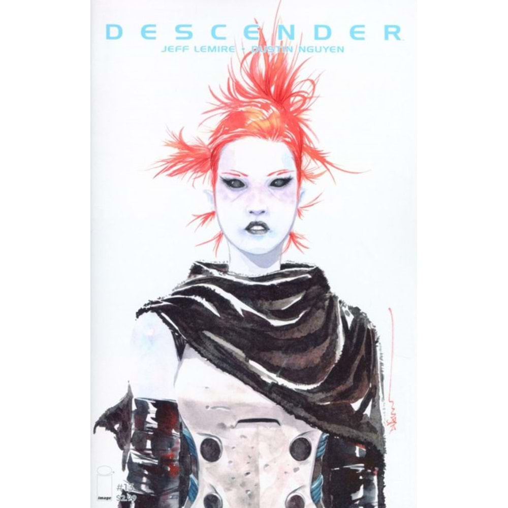 DESCENDER # 13