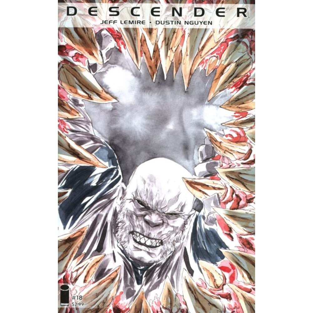 DESCENDER # 18