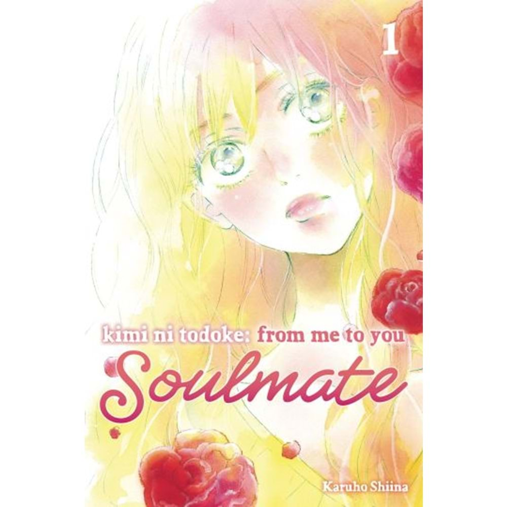 KIMI NI TODOKE FROM ME TO SOULMATE VOL 1 TPB