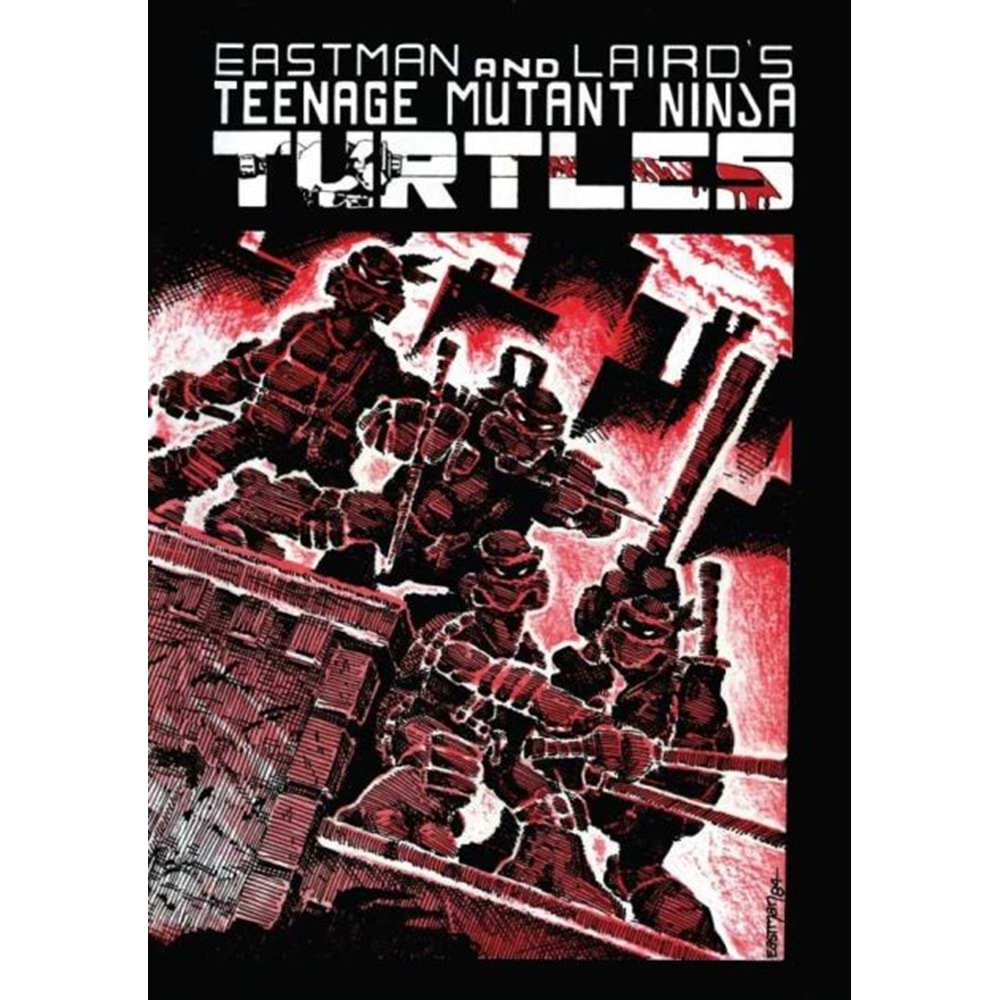 TEENAGE MUTANT NINJA TURTLES SAYI 1