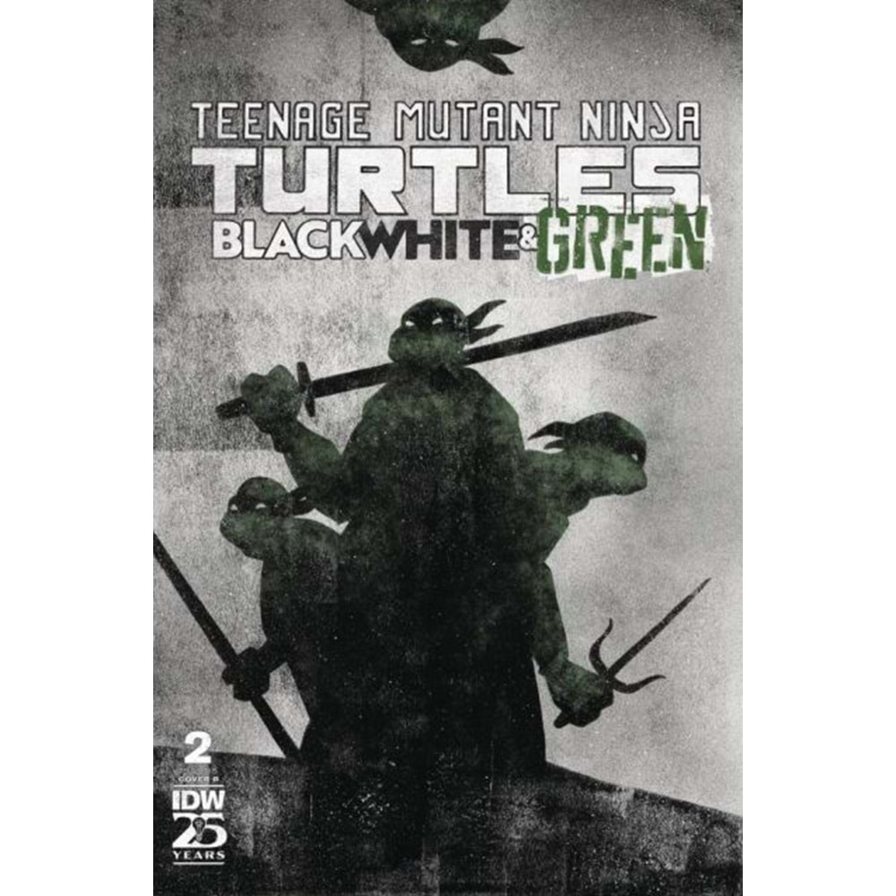 TMNT BLACK WHITE & GREEN # 2 COVER B JEFFREY ALAN LOVE