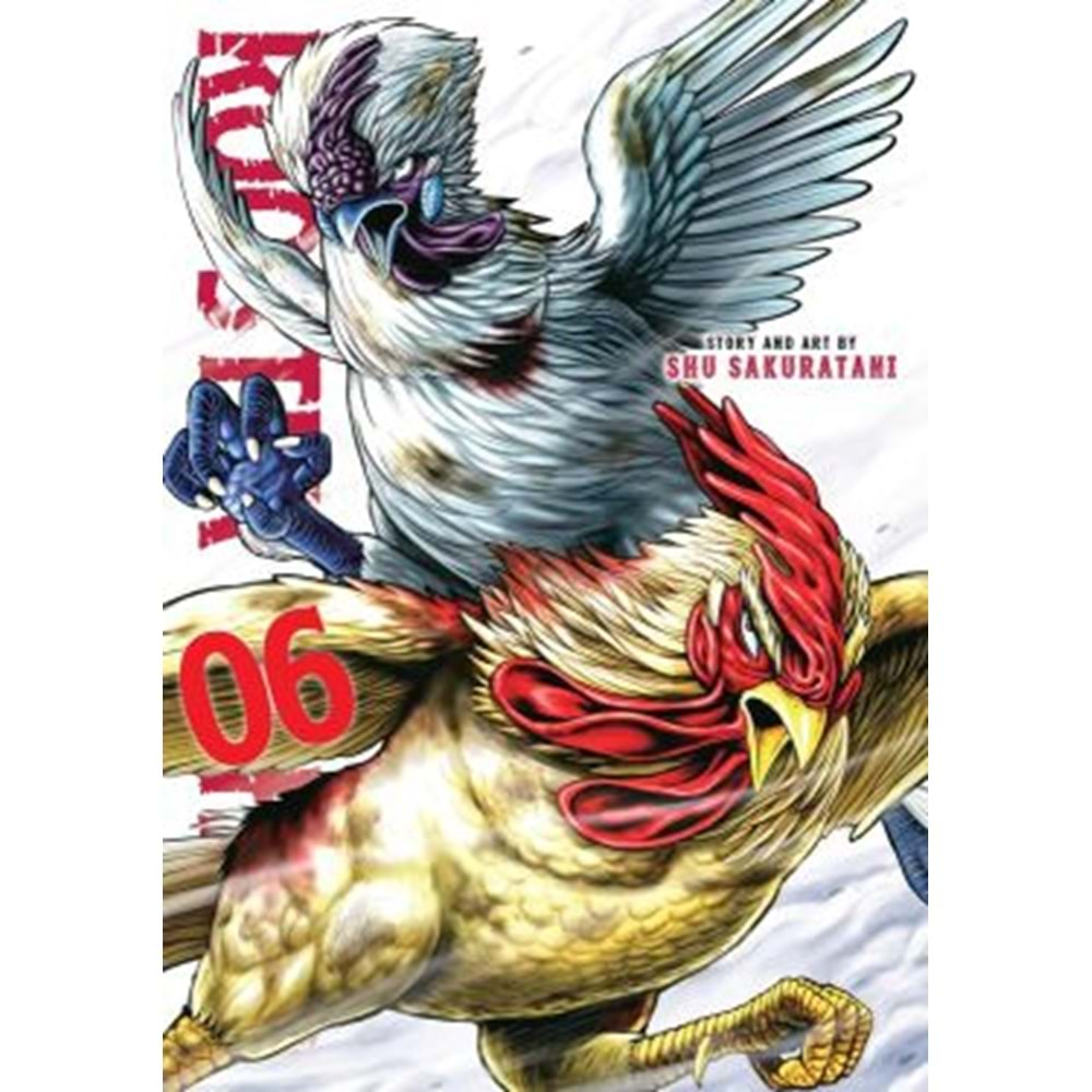 ROOSTER FIGHTER VOL 6 TPB