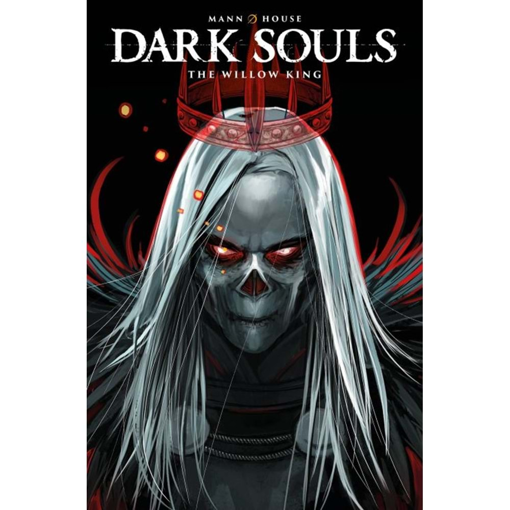 DARK SOULS WILLOW KING DM EDITION TPB