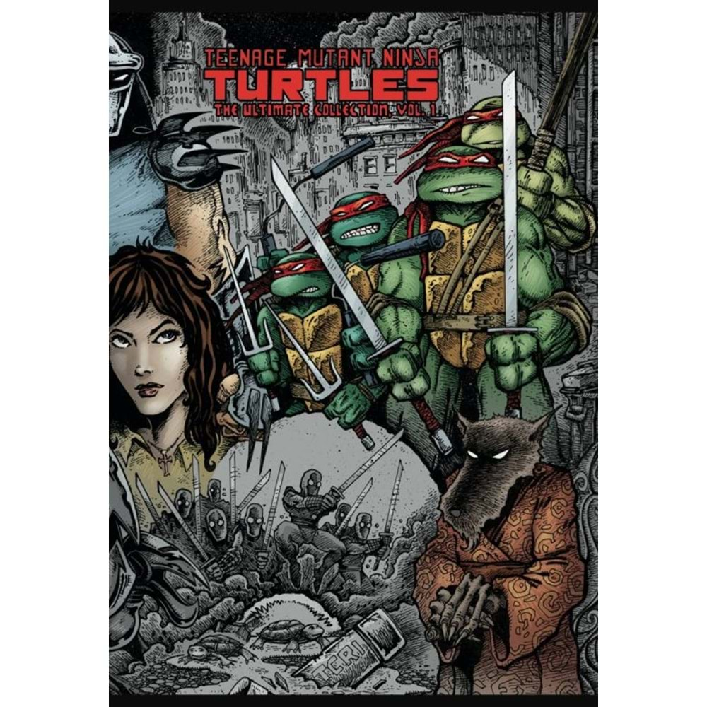 TEENAGE MUTANT NINJA TURTLES ULTIMATE COLLECTION VOL 1 TPB