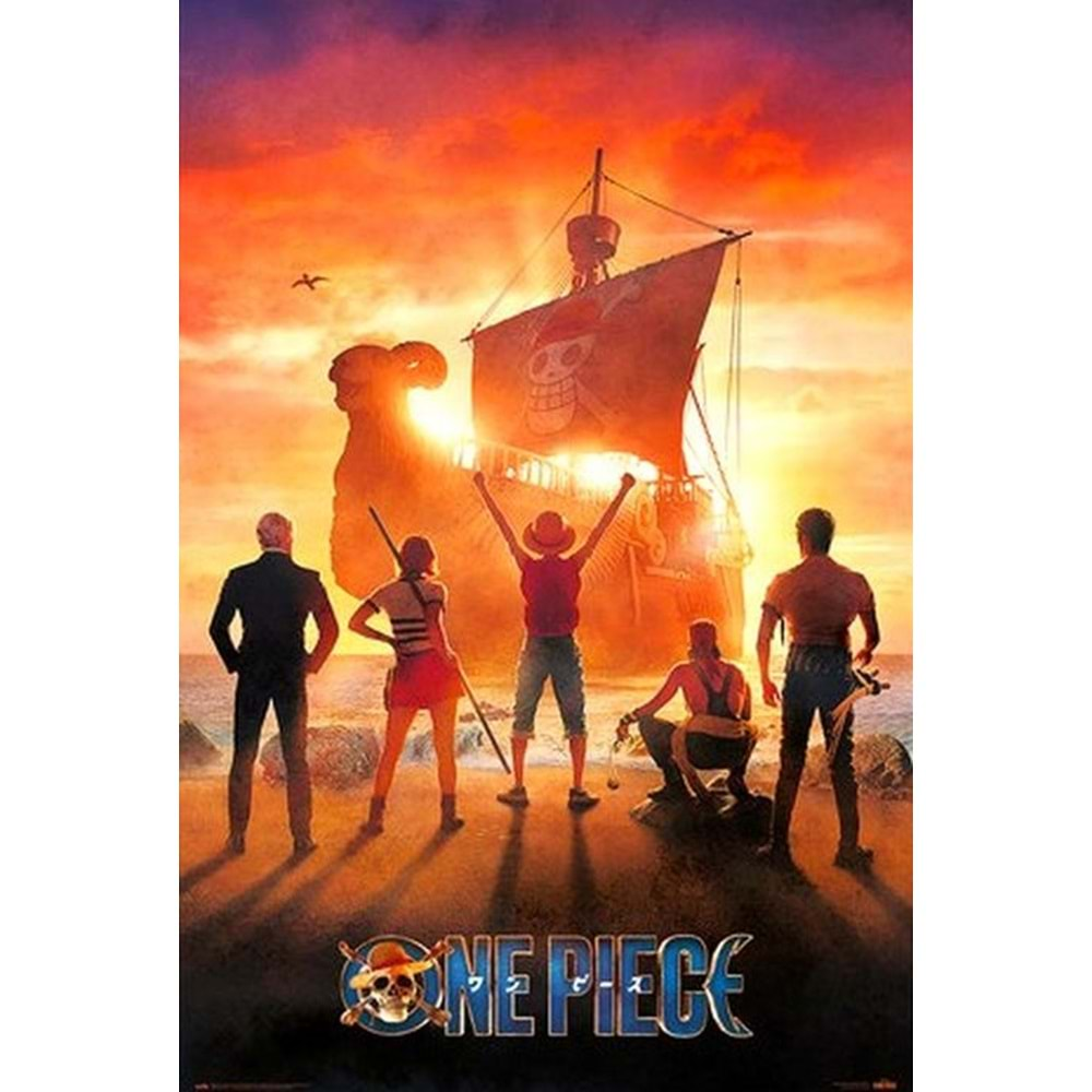 ONE PIECE PIRATES POSTER