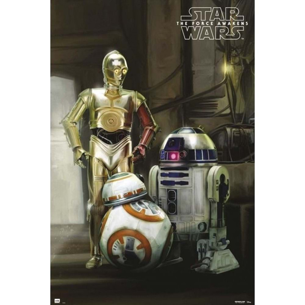 STAR WARS DROIDS POSTER