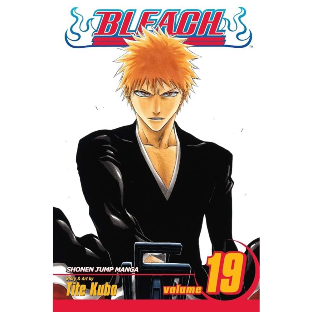 BLEACH VOL 19 TPB