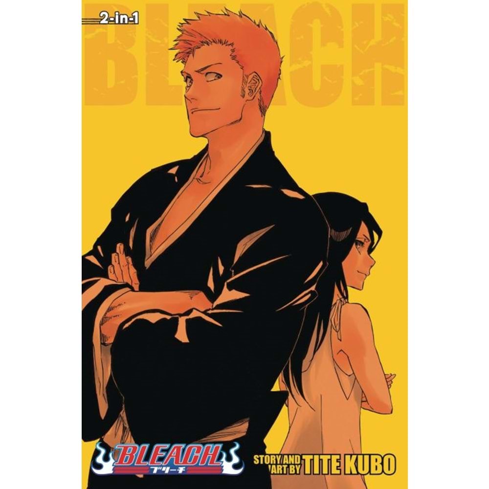 BLEACH 2IN1 VOL 25 TPB