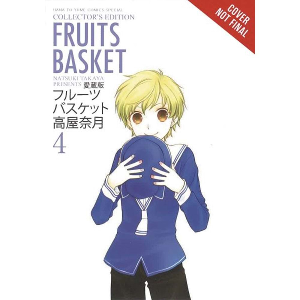 FRUITS BASKET COLLECTORS EDITION VOL 4 TPB