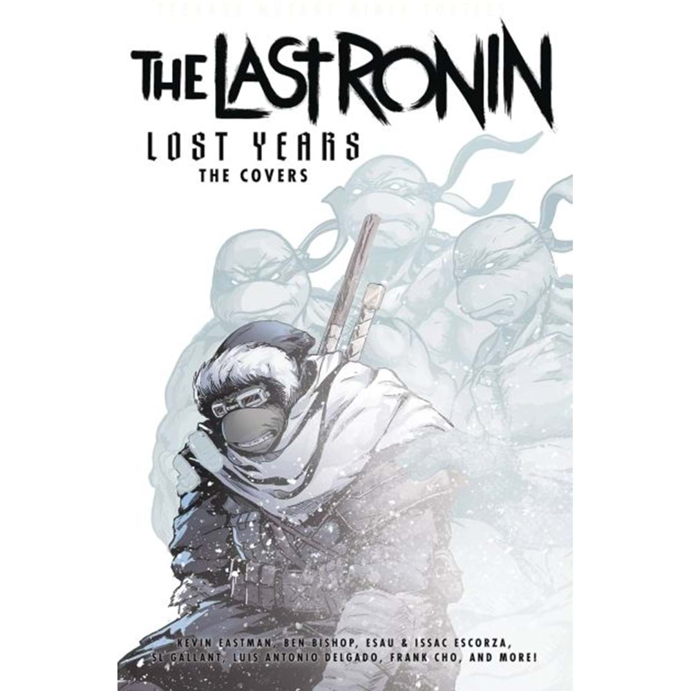 TMNT THE LAST RONIN LOST YEARS THE COVERS HC