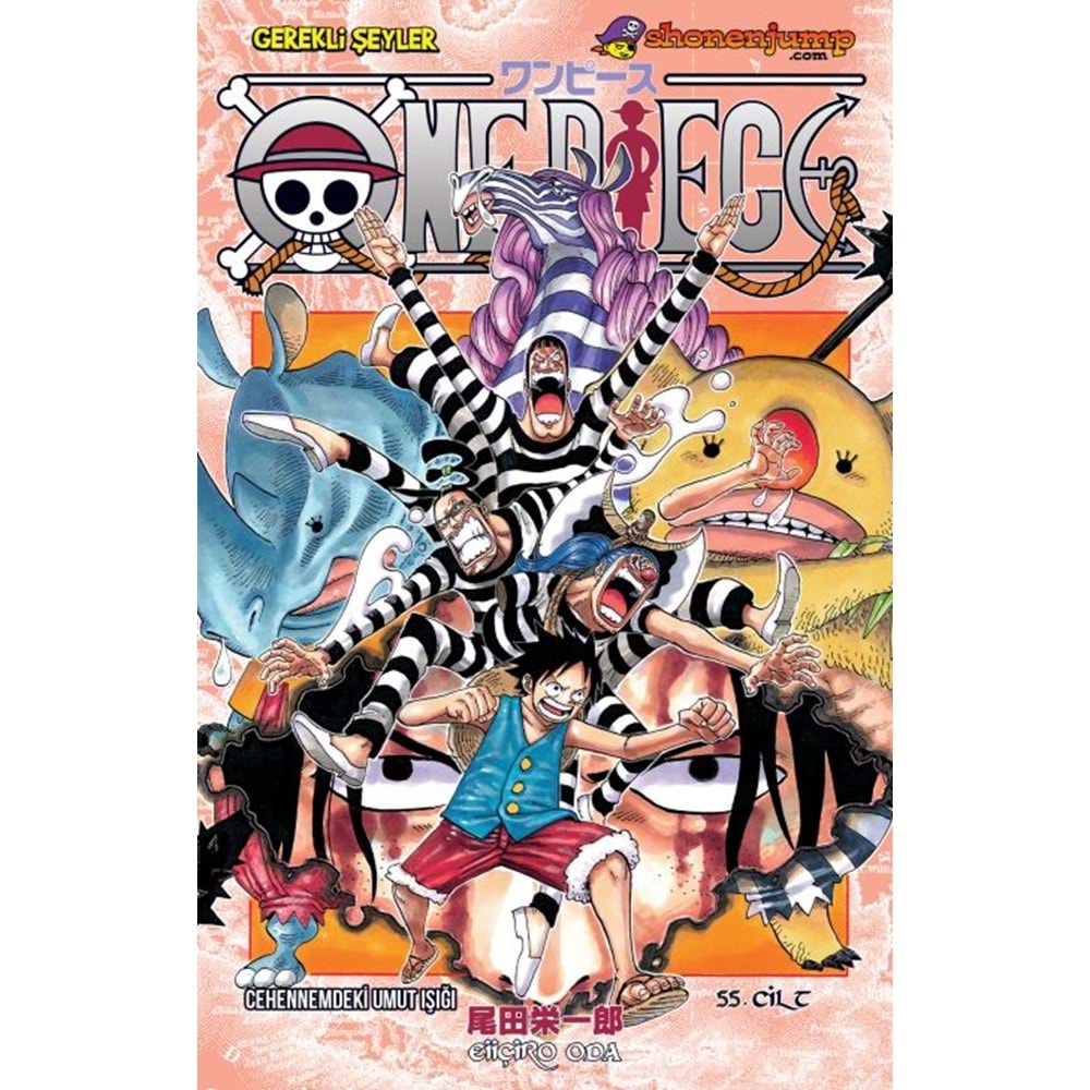 ONE PIECE CİLT 55 CEHENNEMDEKİ UMUT IŞIĞI
