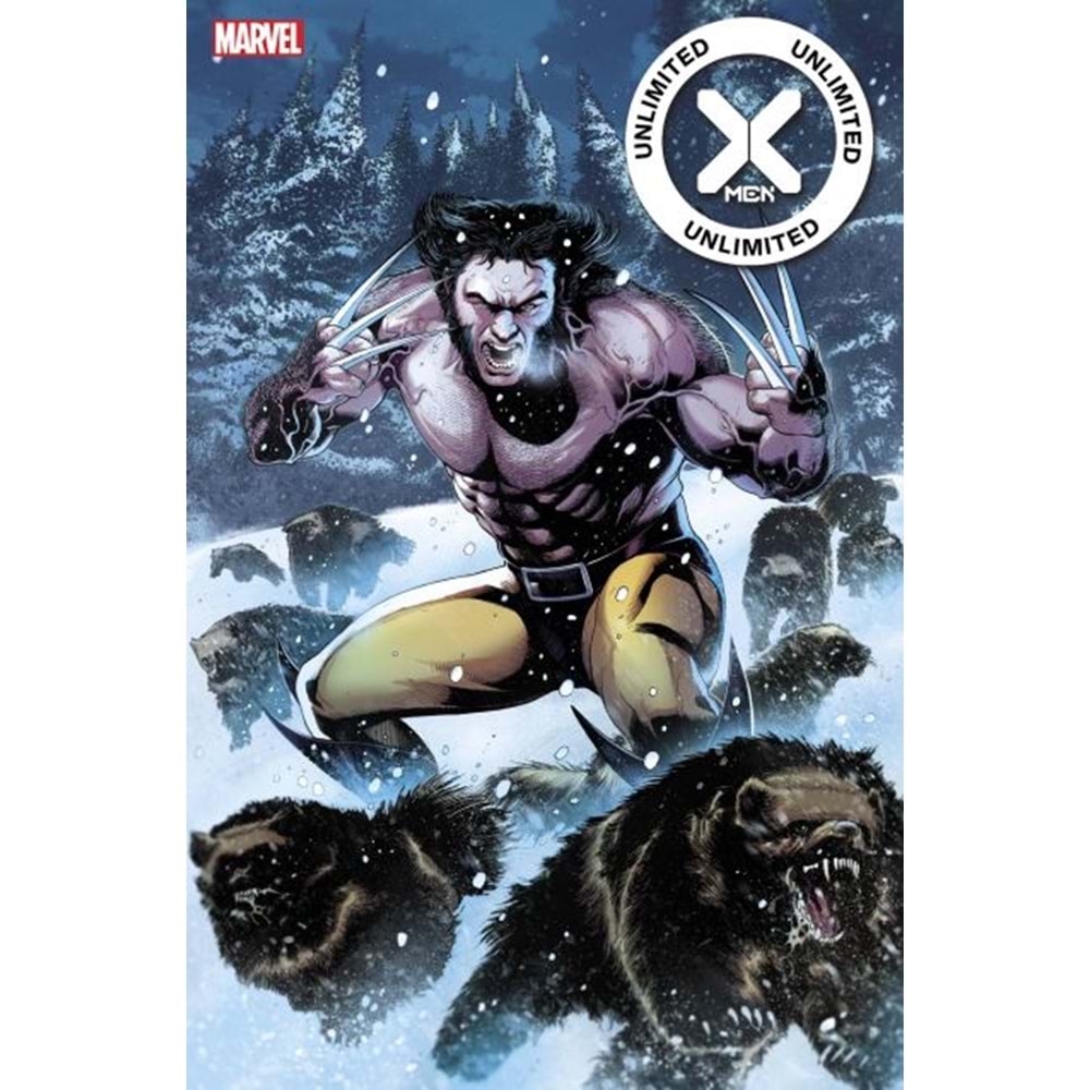 X-MEN UNLIMITED LATITUDE # 1 1:25 MAGNO VARIANT