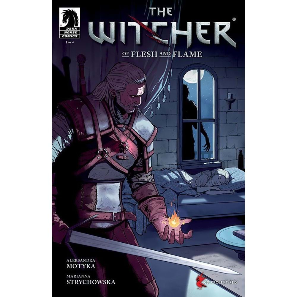 WITCHER OF FLESH AND FLAME # 1 (OF 4)