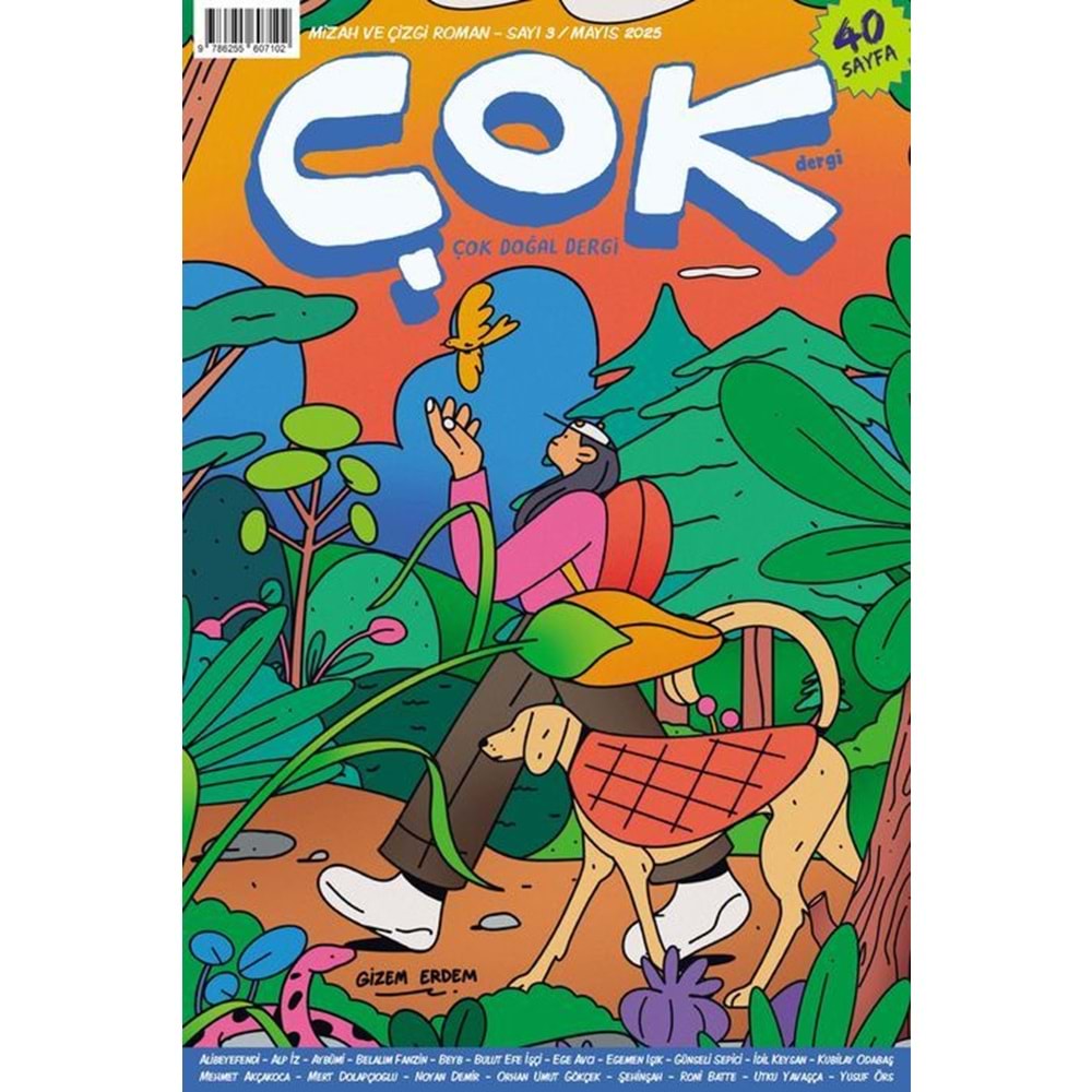 ÇOK SAYI 3