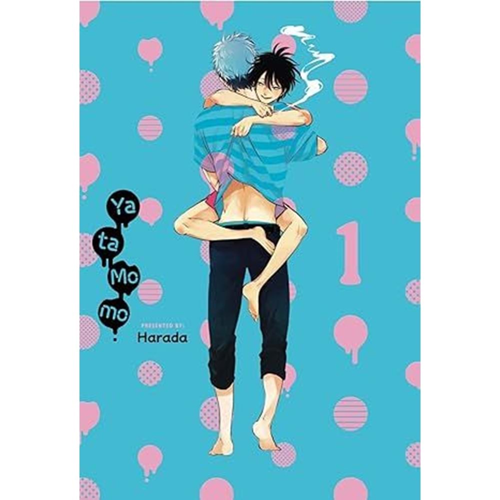 YATAMOMO VOL 1 TPB