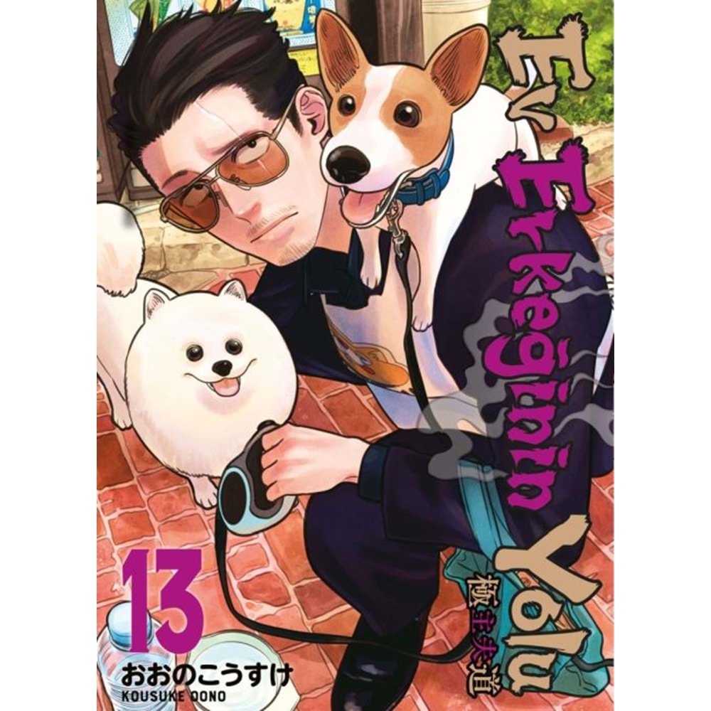 EV ERKEĞİNİN YOLU CİLT 13