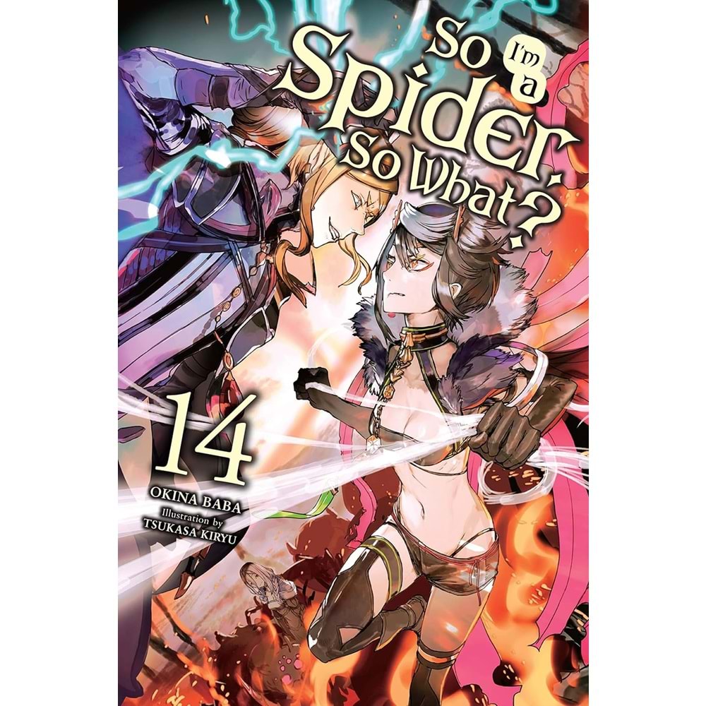 SO IM A SPIDER SO WHAT NOVEL VOL 14 TPB