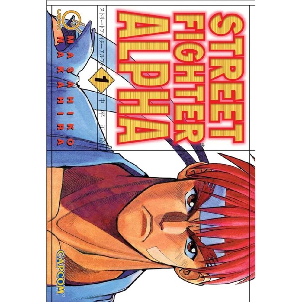 STREET FIGHTER ALPHA VOL 1 TPB
