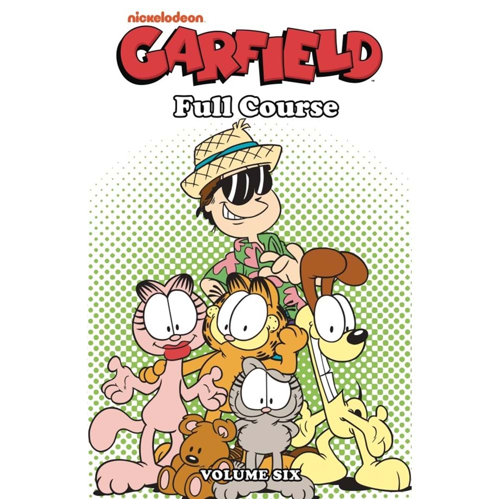 GARFIELD FULL COURSE VOL 6 TPB