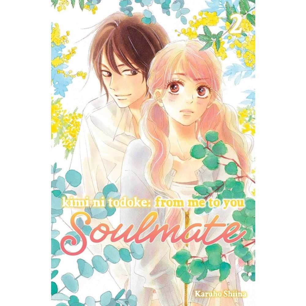 KIMI NI TODOKE FROM ME TO YOU SOULMATE VOL 2 TPB