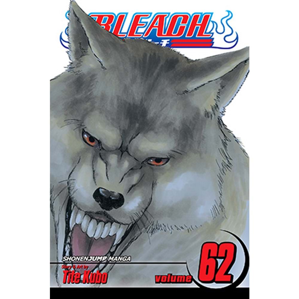 BLEACH VOL 62 TPB