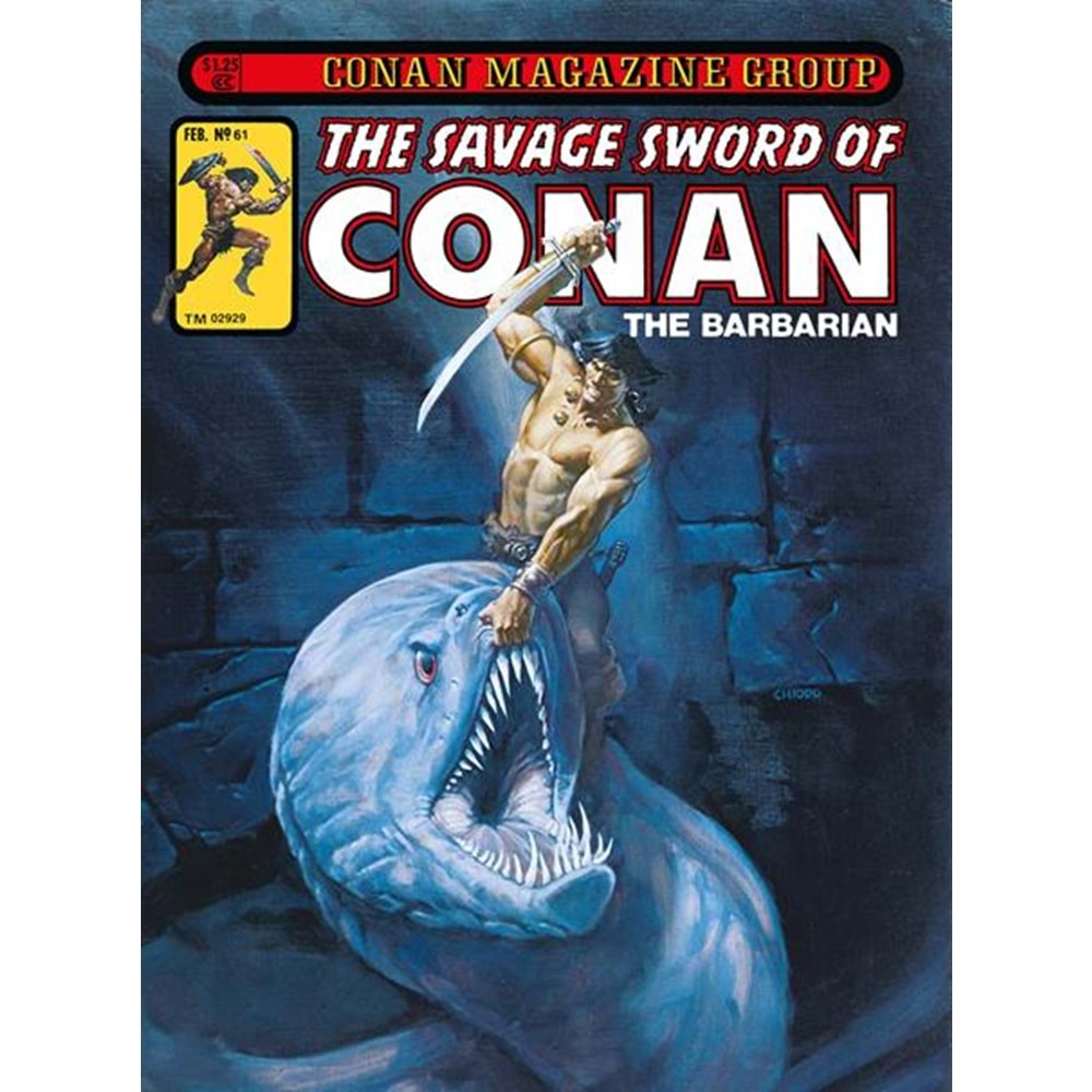 SAVAGE SWORD OF CONAN ORIGINAL OMNIBUS VOL 5 HC DIRECT MARKET EXCLUSIVE JOE CHIODO COVER