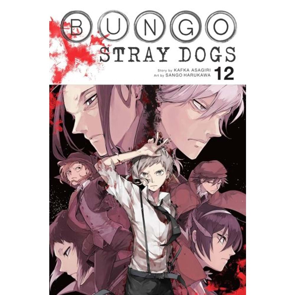BUNGO STRAY DOGS VOL 12 TPB