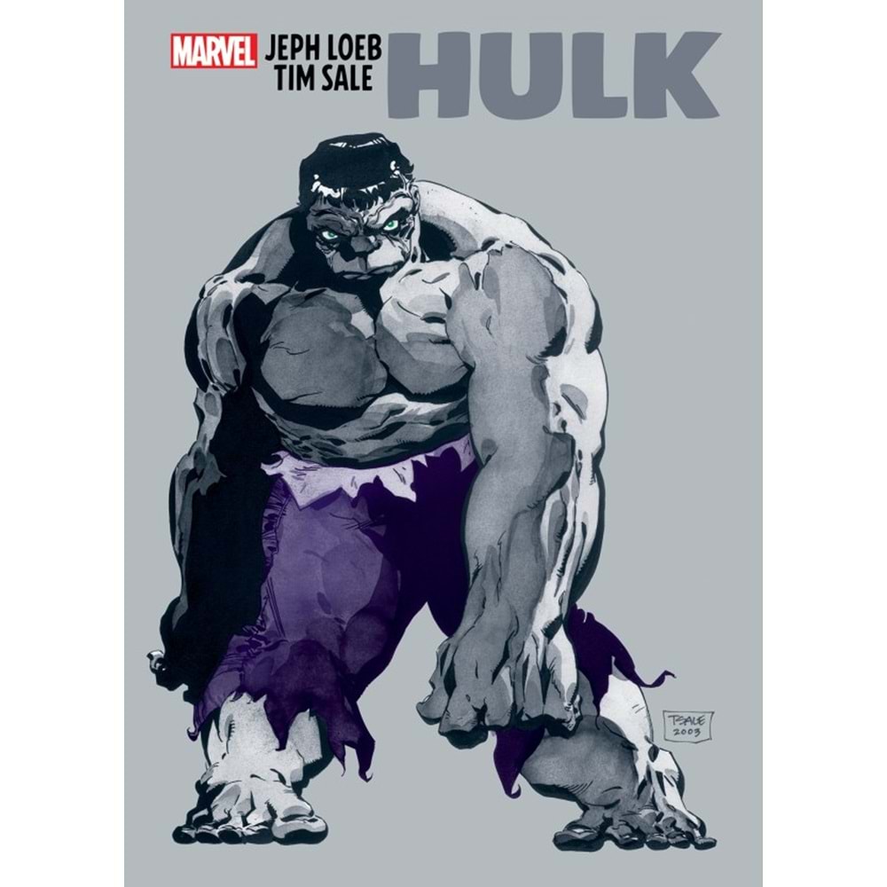 JEPH LOEB & TIM SALE HULK TPB
