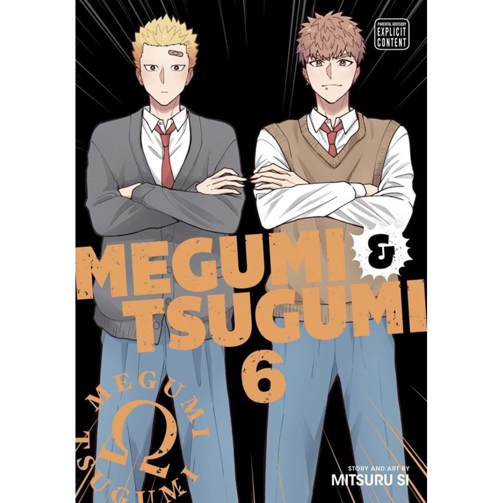 MEGUMI AND TSUGUMI VOL 6 TPB