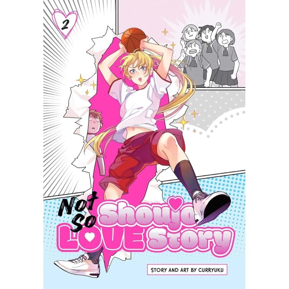 NOT SO SHOUJO LOVE STORY VOL 2 TPB