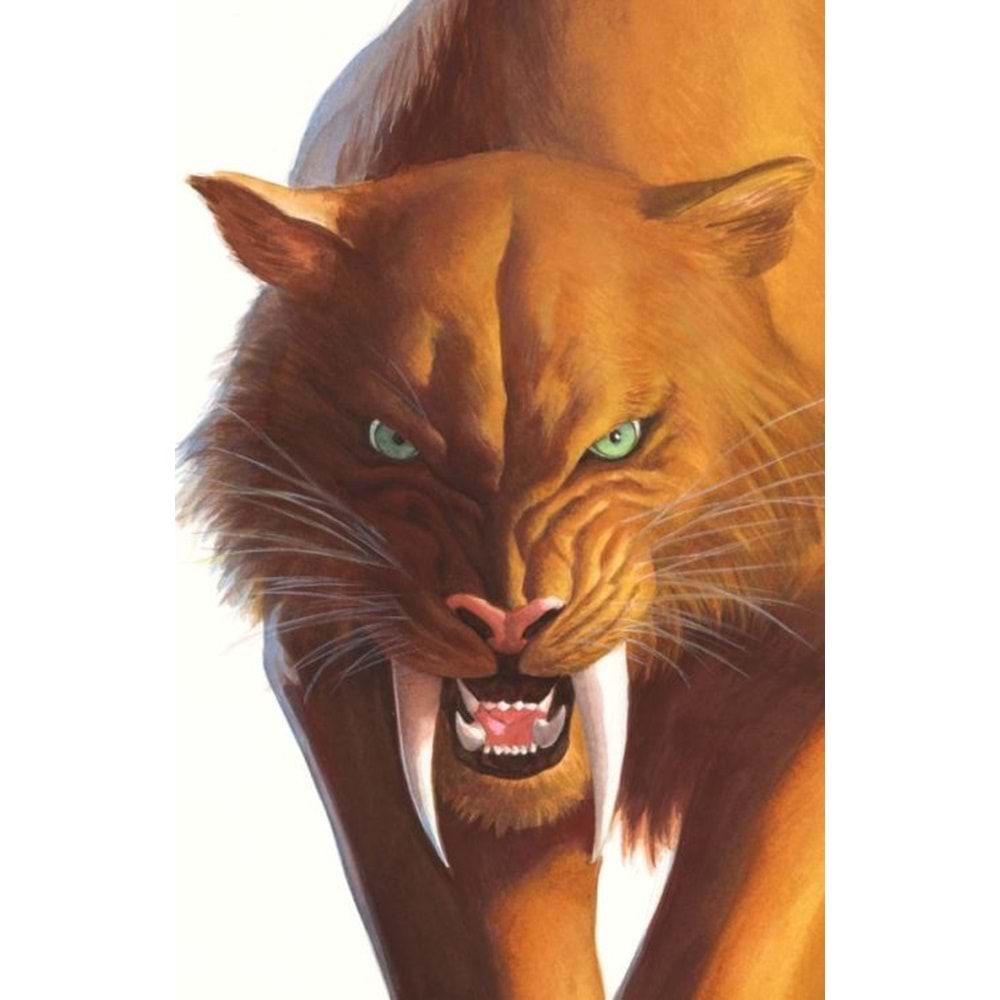 BLACK CAT (2025) #2 ALEX ROSS TIMELESS VIRGIN VARIANT