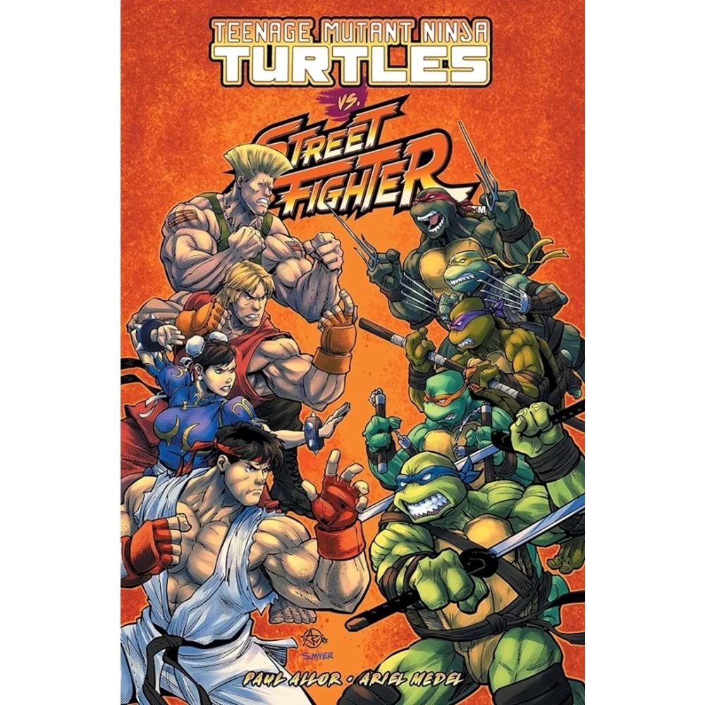TEENAGE MUTANT NINJA TURTLES VS STREET FIGHTER TPB